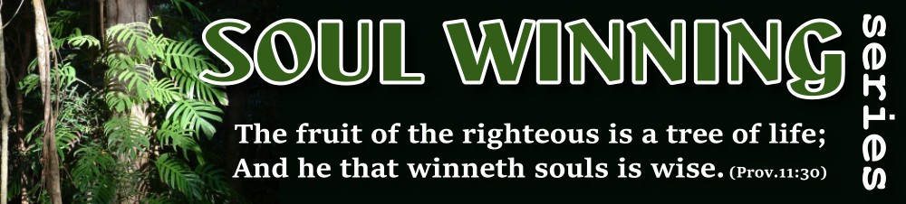 Soul Winning Series